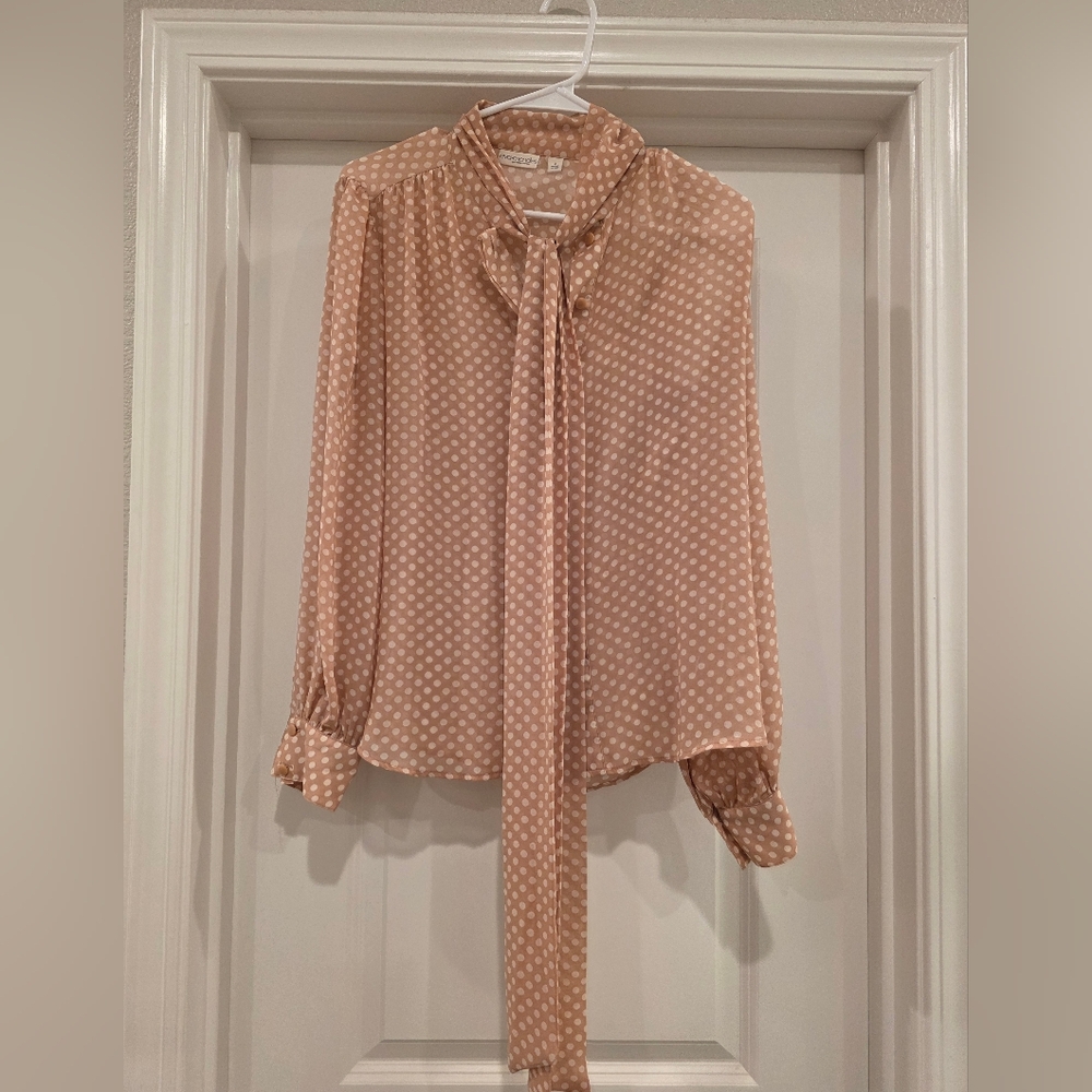 Polka Dot Blouse
